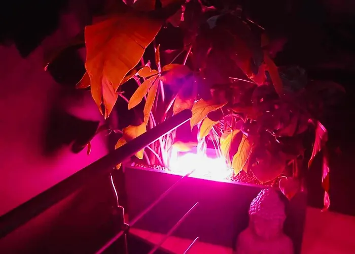 Appart hôtel Noire 3*